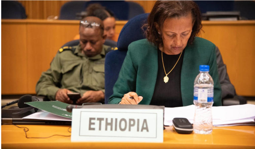 Ambassador Hirut Zemene, Permanent Representative of Ethiopia to the AU and UNECA