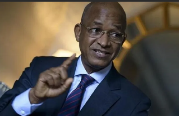 Guinea's Prominent Opposition leader Cellou Delrin Diallo