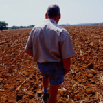 Zimbabwe white farmer