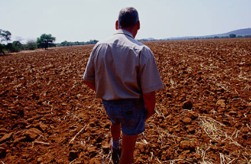 Zimbabwe white farmer